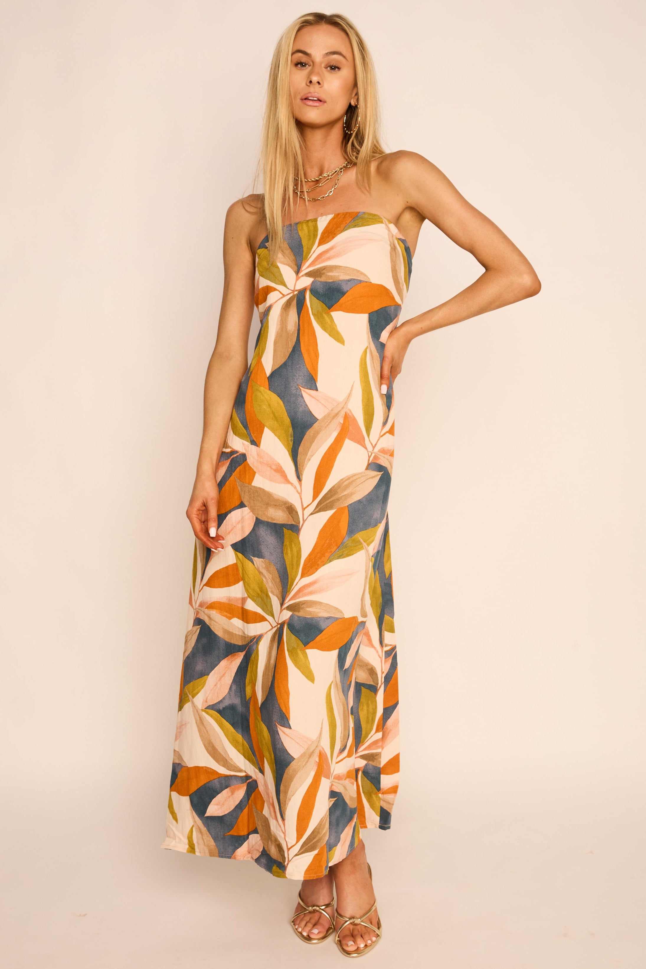 Jameson Printed Maxi Dress