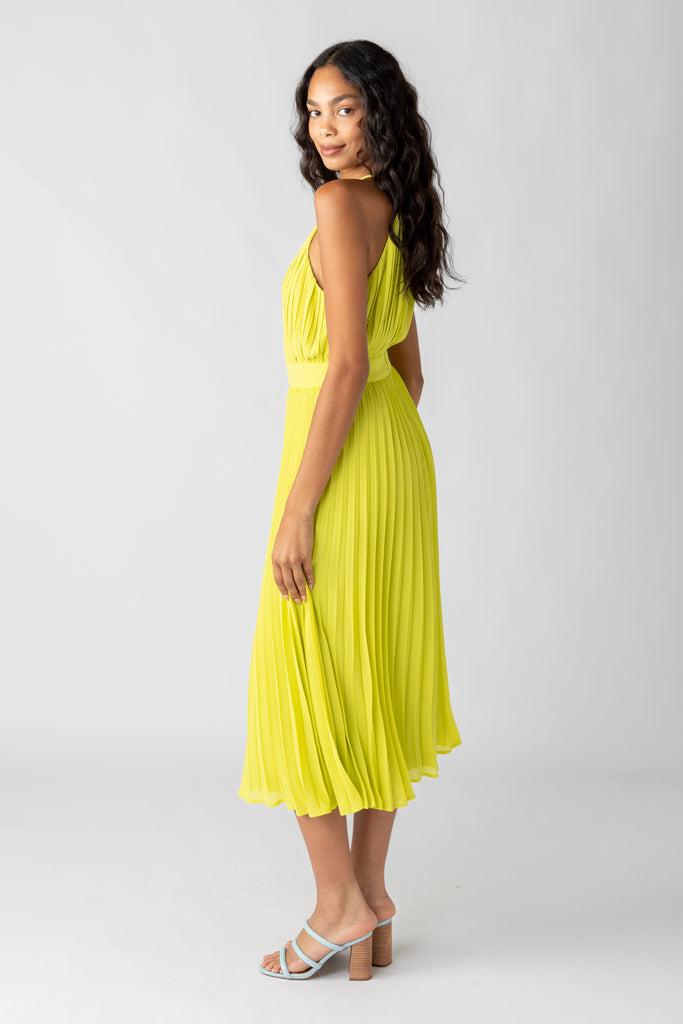 Cara Pleated Halter Maxi Dress - fab'rik