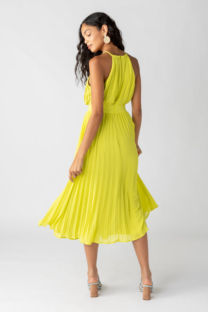 Cara Pleated Halter Maxi Dress - fab'rik