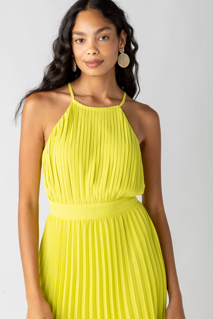 Cara Pleated Halter Maxi Dress - fab'rik