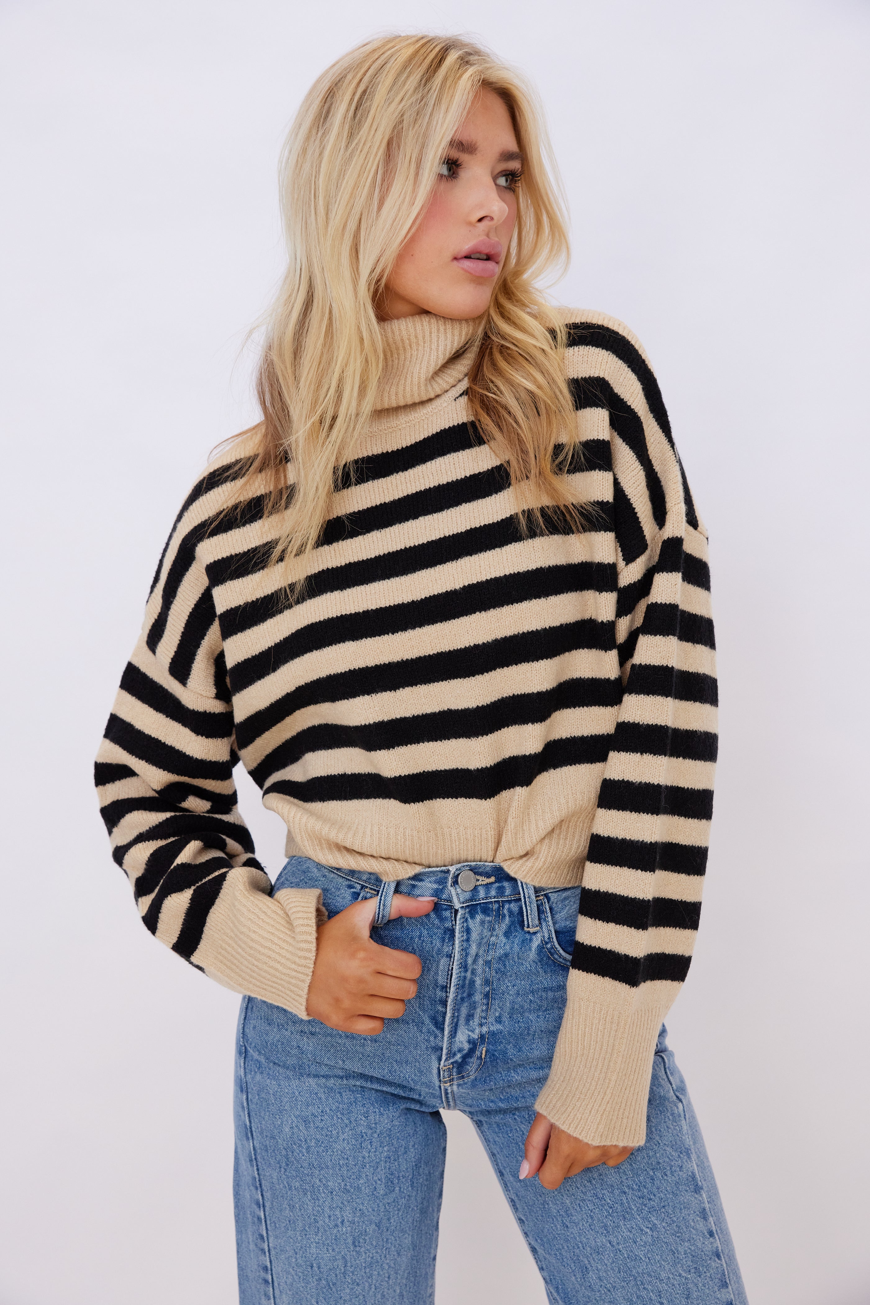 Jean Stripe Turtleneck Sweater
