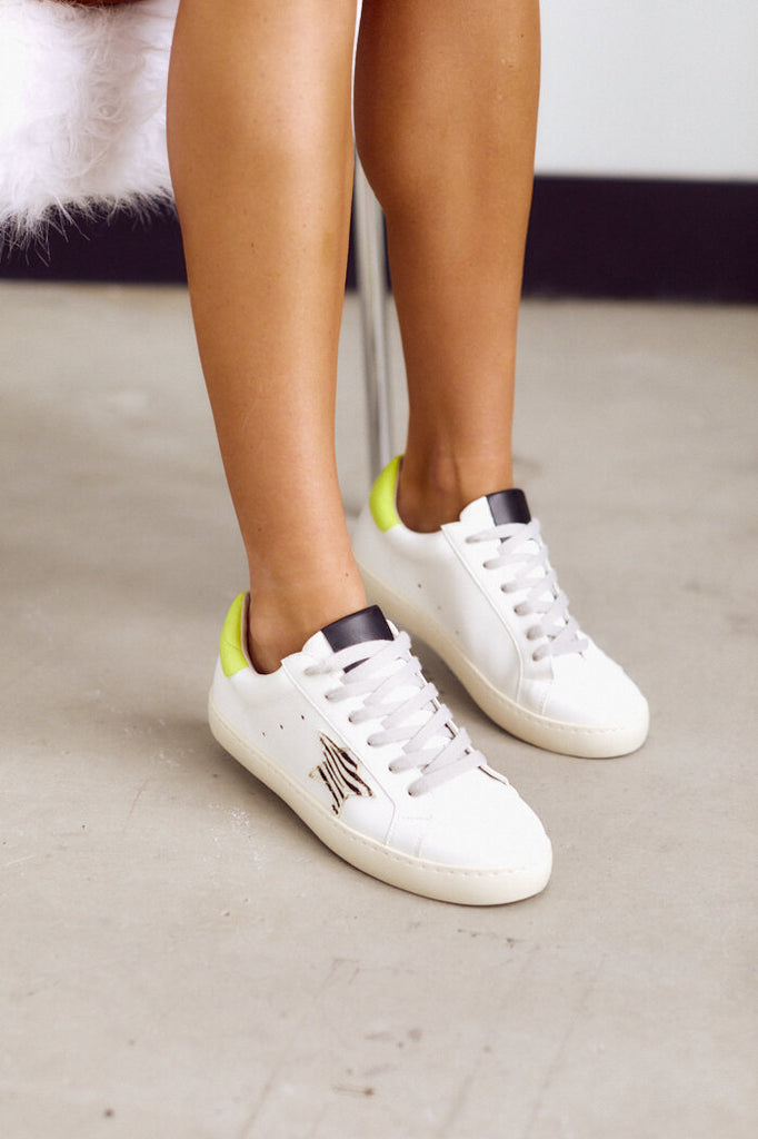 SALE - Brielle Zebra Star Sneaker - fab'rik