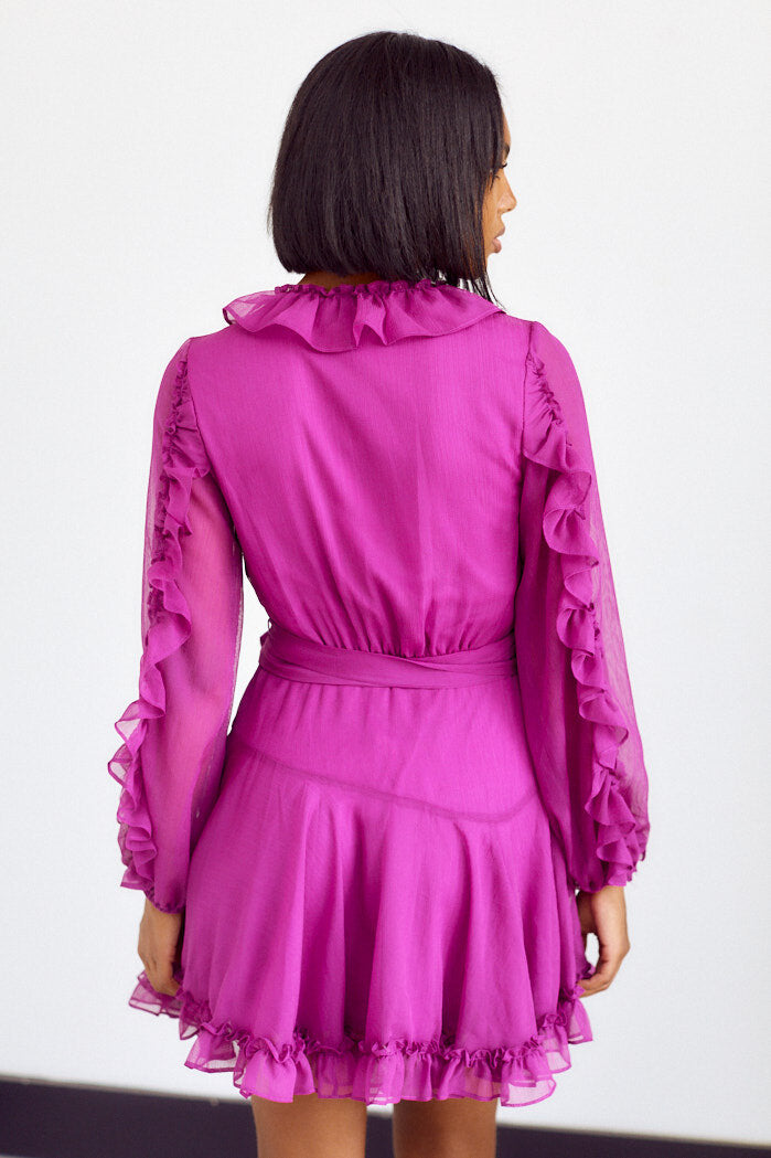 SALE - Argonna Ruffle Detail Mini Dress - fab'rik