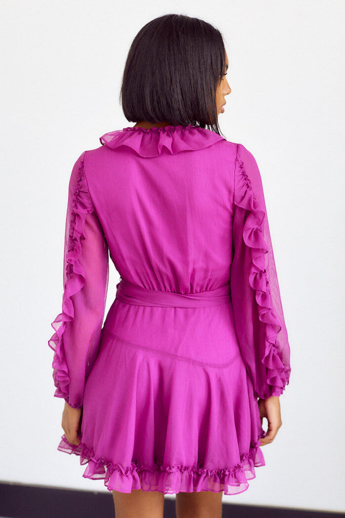 SALE - Argonna Ruffle Detail Mini Dress - fab'rik