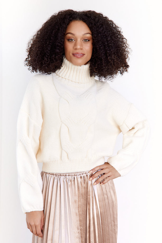 Keley Cable Knit Turtleneck Sweater - fab'rik