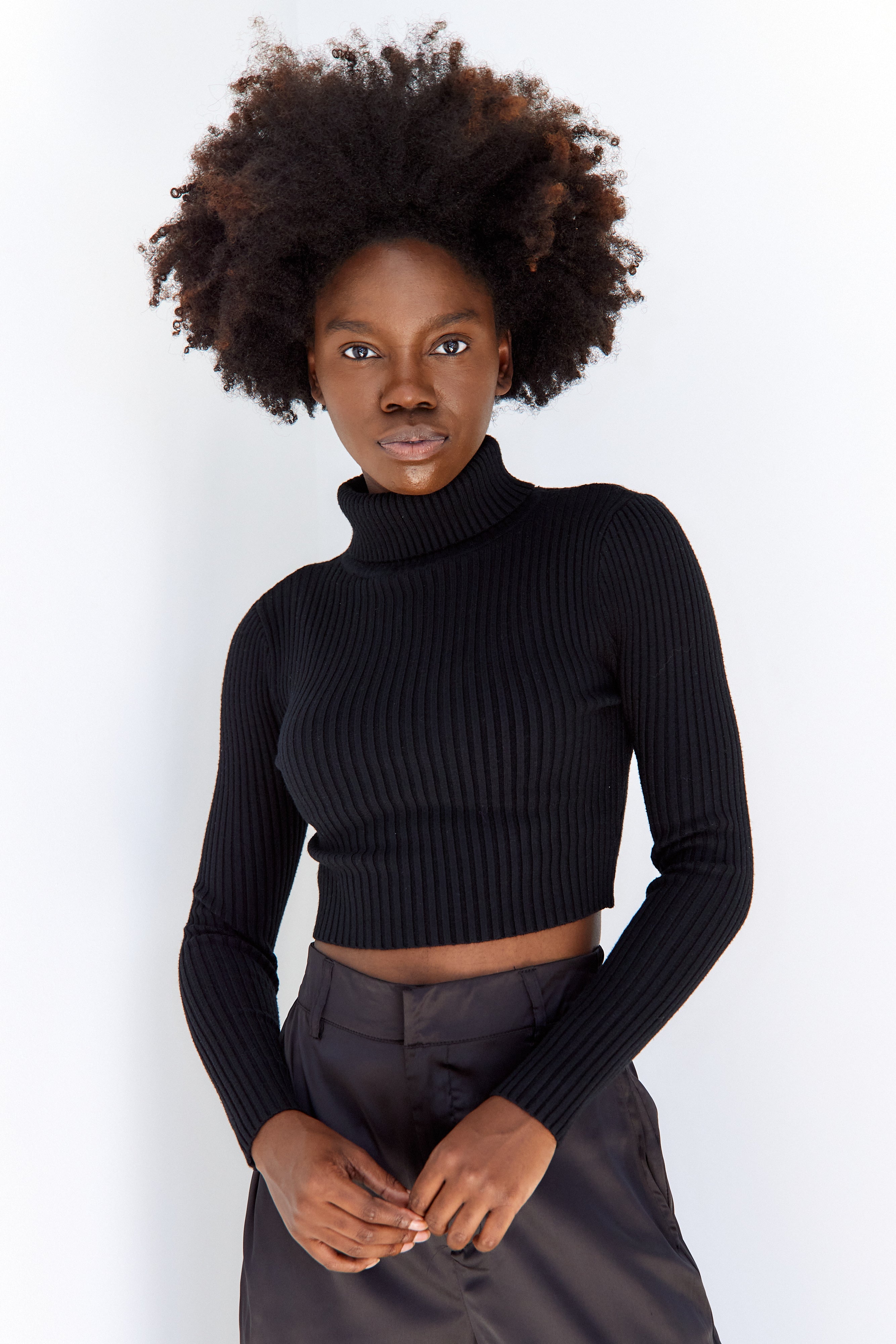 Renner Rib Knit Turtleneck Sweater - fab'rik