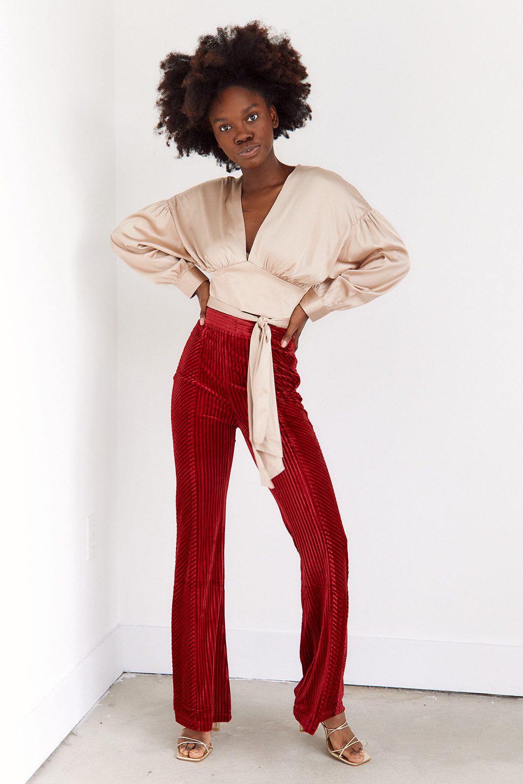Iliana Velvet Pants - fab'rik