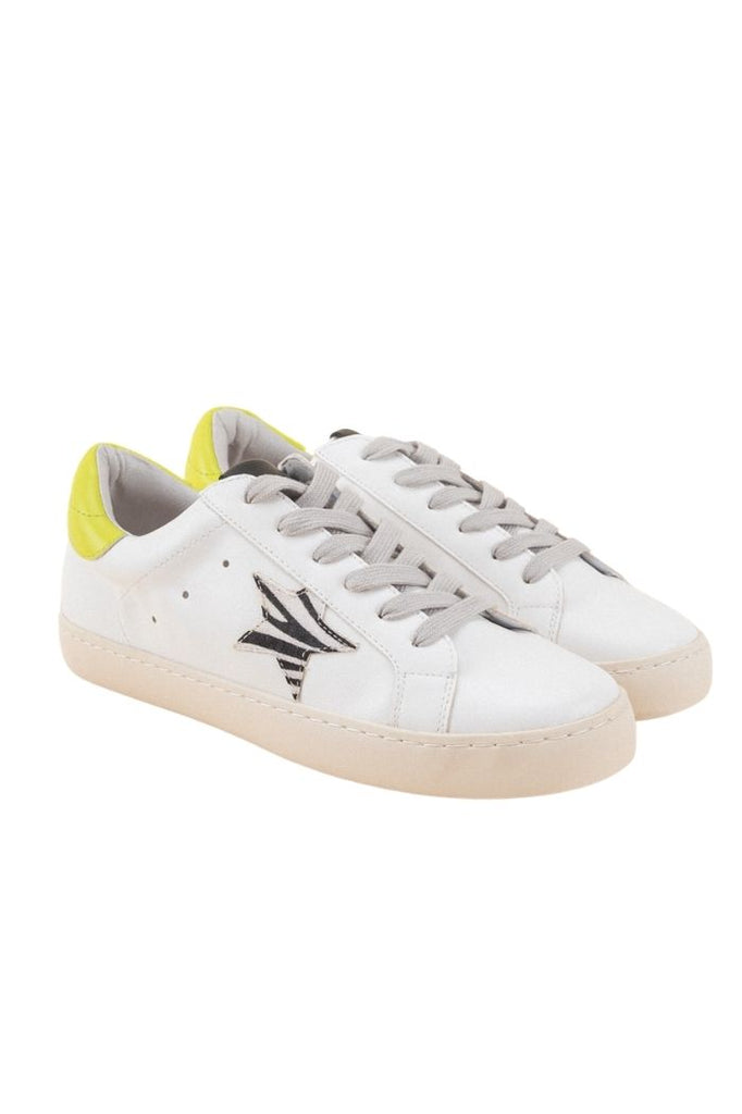 SALE - Brielle Zebra Star Sneaker - fab'rik