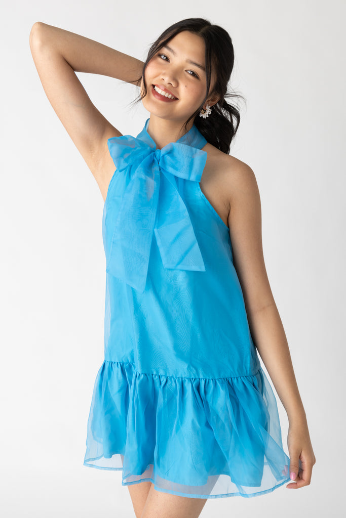 Arie Tie Neck Organza Mini Dress - fab'rik